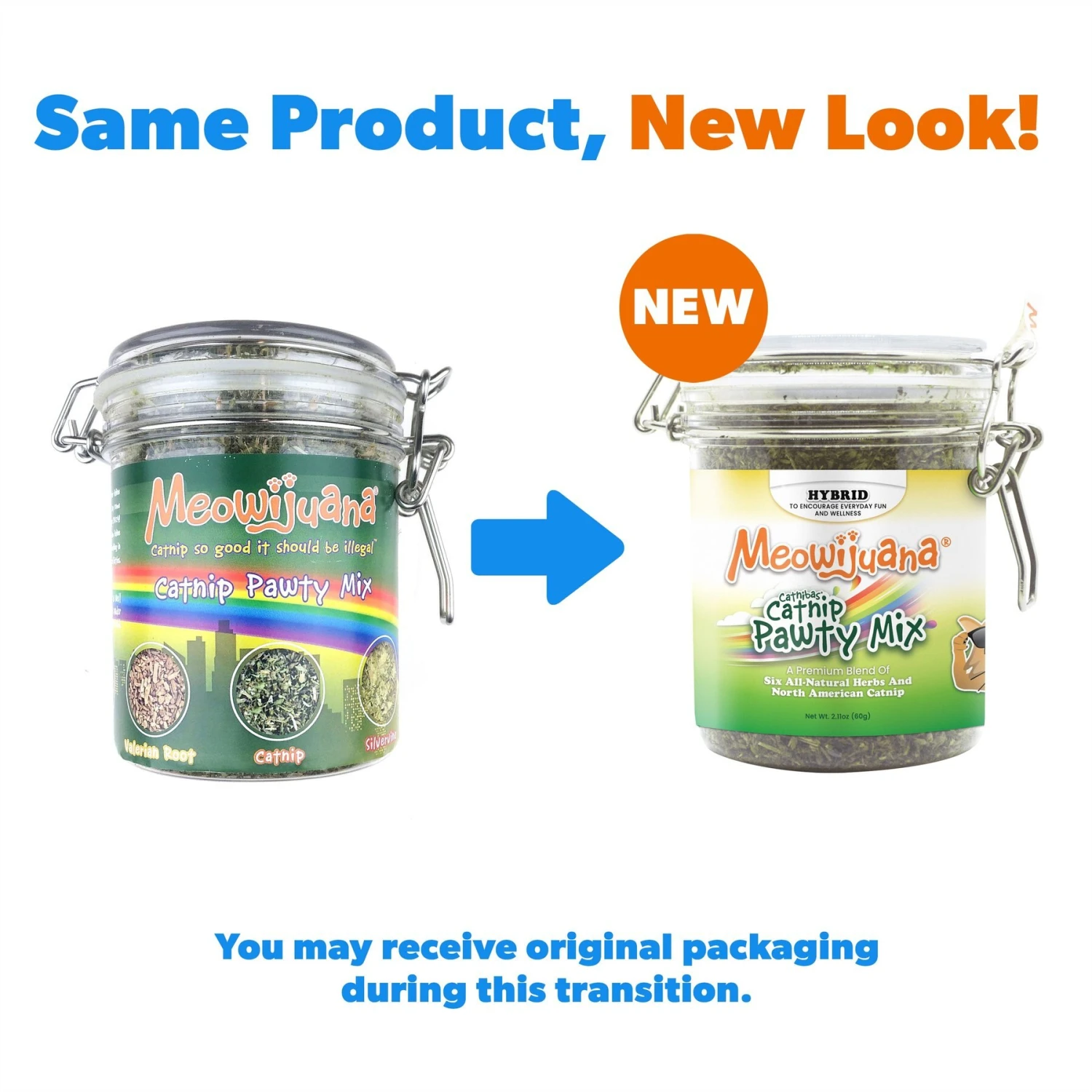 Meowijuana Catnip Pawty Mix, 60-g Jar & Meowijuana Refillable Get Buzzed Catnip Bee Cat Toy 5 Meowijuana Catnip Pawty Mix, 60-g Jar & Meowijuana Refillable Get Buzzed Catnip Bee Cat Toy - Image 3