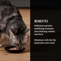 Tiki Cat Luau Velvet Mousse Variety Pack Grain-Free Wet Cat Food, 2.8-oz Pouch, Case Of 12 & American Journey Landmark Broths Tuna, Shrimp & Whitefish Recipe Wet Cat Food Complement Pouches, 1.4 Oz Case Of 16 19 Tiki Cat Luau Velvet Mousse Variety Pack Grain-Free Wet Cat Food, 2.8-oz Pouch, Case Of 12 & American Journey Landmark Broths Tuna, Shrimp & Whitefish Recipe Wet Cat Food Complement Pouches, 1.4 Oz Case Of 16 -Almo nature Sales 298552 PT8. AC SS1800 V1701115717