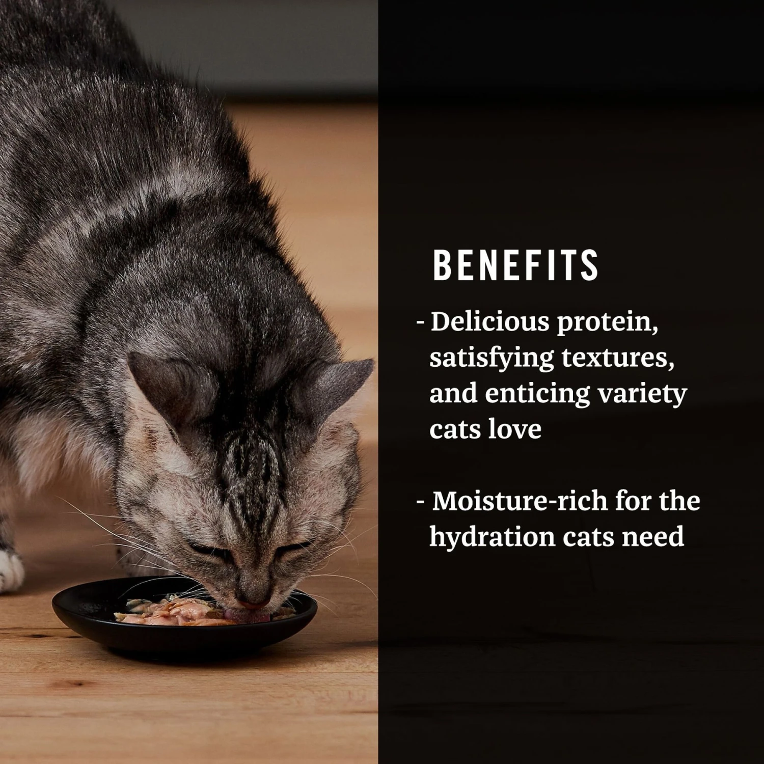 Tiki Cat Luau Velvet Mousse Variety Pack Grain-Free Wet Cat Food, 2.8-oz Pouch, Case Of 12 & American Journey Landmark Broths Tuna, Shrimp & Whitefish Recipe Wet Cat Food Complement Pouches, 1.4 Oz Case Of 16 11 Tiki Cat Luau Velvet Mousse Variety Pack Grain-Free Wet Cat Food, 2.8-oz Pouch, Case Of 12 & American Journey Landmark Broths Tuna, Shrimp & Whitefish Recipe Wet Cat Food Complement Pouches, 1.4 Oz Case Of 16 - Image 9