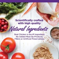 Wellness Complete Health Kitten Chicken Entree Recipe Natural Canned Cat Food & Wellness Complete Health Natural Grain-Free Deboned Chicken & Chicken Meal Dry Kitten Food -Almo nature Sales 298660 PT2. AC SS1800 V1621990640