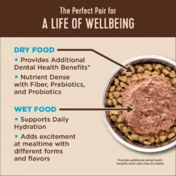 Wellness CORE Natural Grain-Free Turkey & Chicken Liver Pate Canned Kitten Food & Wellness CORE Grain-Free Salmon, Whitefish & Herring Pate Canned Kitten & Cat Food 17 Wellness CORE Natural Grain-Free Turkey & Chicken Liver Pate Canned Kitten Food & Wellness CORE Grain-Free Salmon, Whitefish & Herring Pate Canned Kitten & Cat Food -Almo nature Sales 298714 PT7. AC SS1800 V1621985912