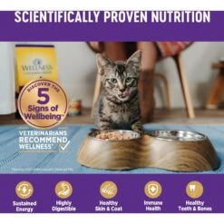 Wellness Seafood Pate Favorites Canned Cat Food, 3-oz, Case Of 24 & Wellness CORE Signature Selects Flaked Skipjack Tuna & Wild Salmon Entree In Broth Grain-Free Canned Cat Food -Almo nature Sales 298732 PT8. AC SS1800 V1621988005