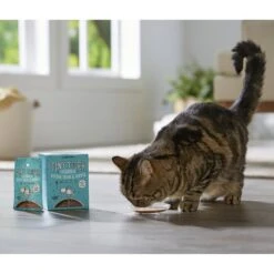 Tiny Tiger Lickables, Tuna & Shrimp Recipe, Bisque Cat Treat & Topper 14 Tiny Tiger Lickables, Tuna & Shrimp Recipe, Bisque Cat Treat & Topper -Almo nature Sales 299258 PT4. AC SS1800 V1632946068