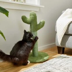 Frisco Cactus Cat Scratching Post & Frisco Dangly Avocado Buddy Plush Cat Toy With Catnip -Almo nature Sales 303380 PT3. AC SS1800 V1623081149