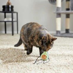 Frisco Cactus Cat Scratching Post & Frisco Dangly Avocado Buddy Plush Cat Toy With Catnip -Almo nature Sales 303380 PT6. AC SS1800 V1623085642