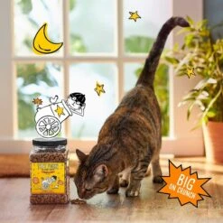 Tiny Tiger Chunks In EXTRA Gravy Beef & Poultry Recipes Variety Pack Grain-Free Canned Cat Food & Tiny Tiger Crunchy Bunch, Chicken Cannonball, Chicken Flavor Cat Treats -Almo nature Sales 303740 PT7. AC SS1800 V1623065849