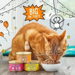 Tiny Tiger Chunks In EXTRA Gravy Chicken Recipe Grain-Free Canned Cat Food & Tiny Tiger Chicken Chompers Flavor Filled Cat Treats -Almo nature Sales 303742 PT2. AC SS1800 V1623059247