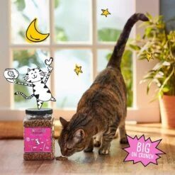 Tiny Tiger Pate Chicken Recipe Grain-Free Canned Cat Food & Tiny Tiger Crunchy Bunch, Fearless Feathers & Gracious Gills, Chicken & Seafood Flavor Cat Treats -Almo nature Sales 303756 PT7. AC SS1800 V1623066746