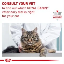 Royal Canin Veterinary Diet Adult Weight Control Loaf In Sauce Canned Cat Food -Almo nature Sales 313398 PT6. AC SS1800 V1694200867