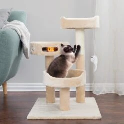 Pet Adobe 3-Tier 27.5-in Cat Tree & Condo 12 Pet Adobe 3-Tier 27.5-in Cat Tree & Condo -Almo nature Sales 314981 PT3. AC SS1800 V1626398534