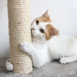 Pet Adobe Multi-Level 71.5-in Cat Tree & Condo -Almo nature Sales 315014 PT4. AC SS1800 V1626394575