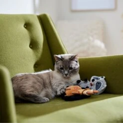 Disney Princess Pocahontas Plush Cat Toy With Catnip, 2 Count 7 Disney Princess Pocahontas Plush Cat Toy With Catnip, 2 Count -Almo nature Sales 328729 PT3. AC SS1800 V1657718551