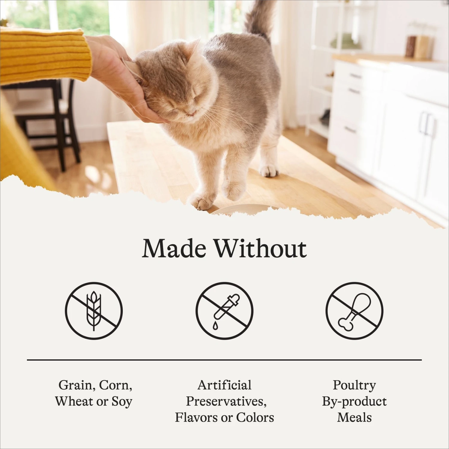 American Journey Senior Pate Chicken & Beef Recipe Canned Cat Food, 3-oz Can, Case Of 24 10 American Journey Senior Pate Chicken & Beef Recipe Canned Cat Food, 3-oz Can, Case Of 24 - Image 8