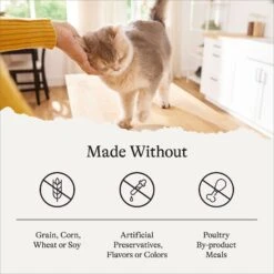 American Journey Senior Pate Chicken Recipe Canned Cat Food, 3-oz Can, Case Of 24 18 American Journey Senior Pate Chicken Recipe Canned Cat Food, 3-oz Can, Case Of 24 -Almo nature Sales 330851 PT7. AC SS1800 V1691614425