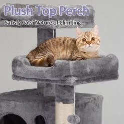 Coziwow By Jaxpety 58-in Cat Tree & Condo With Hammock, Grey 16 Coziwow By Jaxpety 58-in Cat Tree & Condo With Hammock, Grey -Almo nature Sales 330952 PT5. AC SS1800 V1663605043