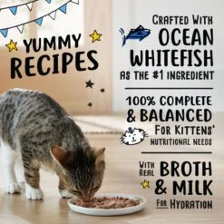 Tiny Tiger, Kitten Classic, Ocean Whitefish Pate Recipe, Canned Cat Food -Almo nature Sales 330994 PT3. AC SS1800 V1687283980