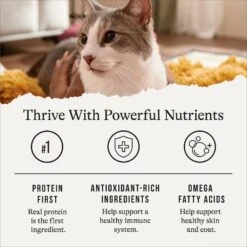 American Journey Pate Senior Wet Cat Food Variety Pack, 3-oz Can, Case Of 24 13 American Journey Pate Senior Wet Cat Food Variety Pack, 3-oz Can, Case Of 24 -Almo nature Sales 331112 PT4. AC SS1800 V1641843468