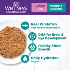 Wellness Complete Health Kitten Whitefish & Tuna Formula Grain-Free Canned Cat Food, Case Of 24 -Almo nature Sales 333297 PT2. AC SS1800 V1690904623