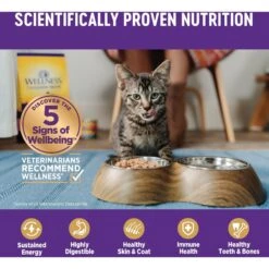 Wellness Complete Health Kitten Whitefish & Tuna Formula Grain-Free Canned Cat Food, Case Of 24 -Almo nature Sales 333297 PT4. AC SS1800 V1690904561