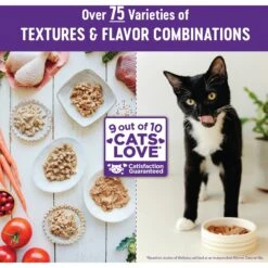 Wellness Complete Health Kitten Whitefish & Tuna Formula Grain-Free Canned Cat Food, Case Of 24 -Almo nature Sales 333297 PT6. AC SS1800 V1690904589