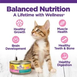 Wellness Complete Health Kitten Variety Pack Grain-Free Canned Cat Food, 3-oz, Case Of 12 -Almo nature Sales 333302 PT2. AC SS1800 V1636755409