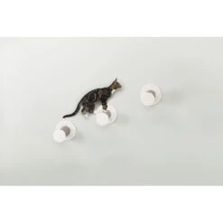TRIXIE Cat Wall Mount Climbing Steps, 3 Count 10 TRIXIE Cat Wall Mount Climbing Steps, 3 Count -Almo nature Sales 333722 PT3. AC SS1800 V1634077309