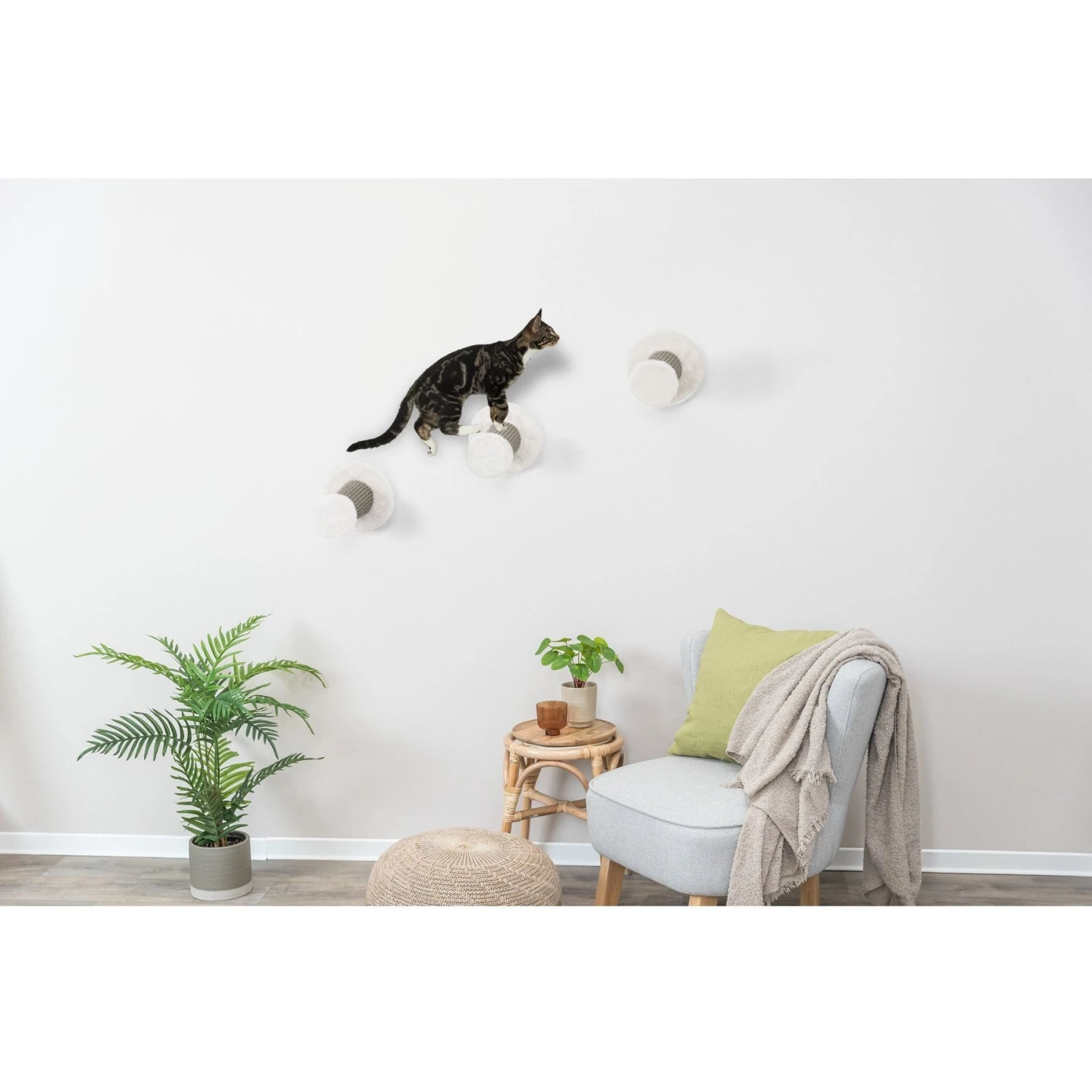 TRIXIE Cat Wall Mount Climbing Steps, 3 Count 7 TRIXIE Cat Wall Mount Climbing Steps, 3 Count - Image 5