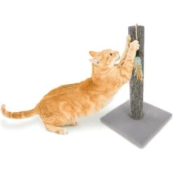 SmartyKat Simply Scratch Carpet Cat Scratch Post With Feather Cat Toy 12 SmartyKat Simply Scratch Carpet Cat Scratch Post With Feather Cat Toy -Almo nature Sales 336393 PT4. AC SS1800 V1634310219