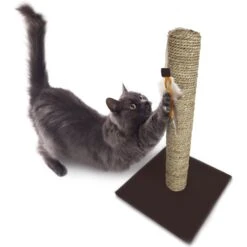 SmartyKat Simply Scratch Seagrass Cat Scratch Post With Feather Cat Toy -Almo nature Sales 336395 PT4. AC SS1800 V1634309494