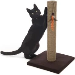 SmartyKat Simply Scratch Jute Cat Scratch Post With Feather Cat Toy -Almo nature Sales 336397 PT4. AC SS1800 V1634309564