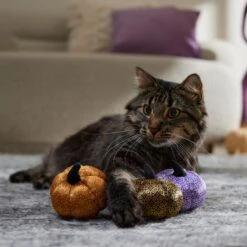 Frisco Halloween Bougie Pumpkins Plush Cat Toy With Catnip -Almo nature Sales 344014 PT3. AC SS1800 V1657657029