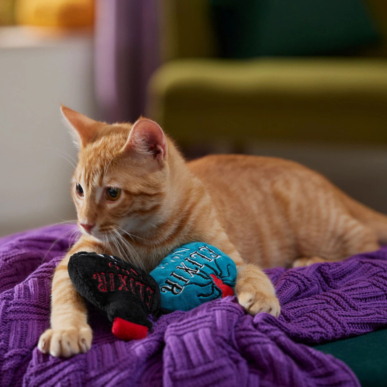 Frisco Halloween Elixirs Plush Cat Toy With Catnip 5 Frisco Halloween Elixirs Plush Cat Toy With Catnip - Image 3