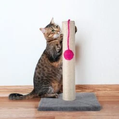 Pet Adobe 17-in Sisal Cat Scratching Post With Toy 12 Pet Adobe 17-in Sisal Cat Scratching Post With Toy -Almo nature Sales 345033 PT4. AC SS1800 V1637288193