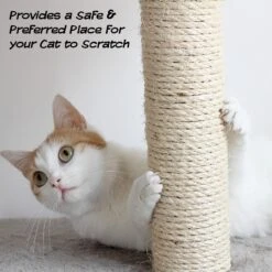 Pet Adobe Interactive 19-in Sisal Cat Scratching Post -Almo nature Sales 345048 PT4. AC SS1800 V1637285266