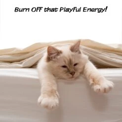 Pet Adobe Interactive 19-in Sisal Cat Scratching Post -Almo nature Sales 345048 PT5. AC SS1800 V1637282265