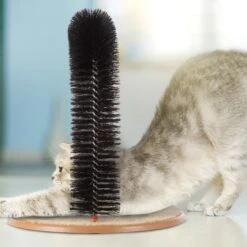 Pet Adobe Self-Grooming Cat Arch -Almo nature Sales 345061 PT4. AC SS1800 V1637282523
