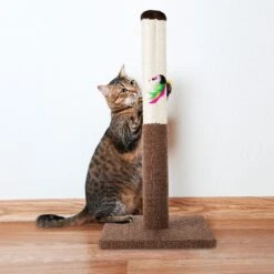 Pet Adobe 24.5-in Sisal Cat Scratching Post With Toy -Almo nature Sales 345065 PT4. AC SS1800 V1637286691
