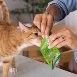 Tiny Tiger Lickables Stew Chicken & Tuna Recipe Cat Treat & Topper 15 Tiny Tiger Lickables Stew Chicken & Tuna Recipe Cat Treat & Topper -Almo nature Sales 345120 PT5. AC SS1800 V1697054635