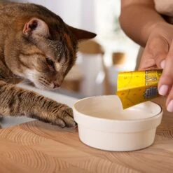 Tiny Tiger Lickables Stew Chicken & Veggies Recipe Cat Treat & Topper 15 Tiny Tiger Lickables Stew Chicken & Veggies Recipe Cat Treat & Topper -Almo nature Sales 345122 PT5. AC SS1800 V1697054638