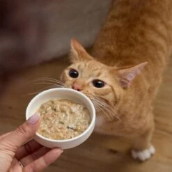 Tiny Tiger Lickables Soup Tuna Recipe In A Creamy Chicken Broth Cat Treat & Topper 15 Tiny Tiger Lickables Soup Tuna Recipe In A Creamy Chicken Broth Cat Treat & Topper -Almo nature Sales 345177 PT5. AC SS1800 V1696613955