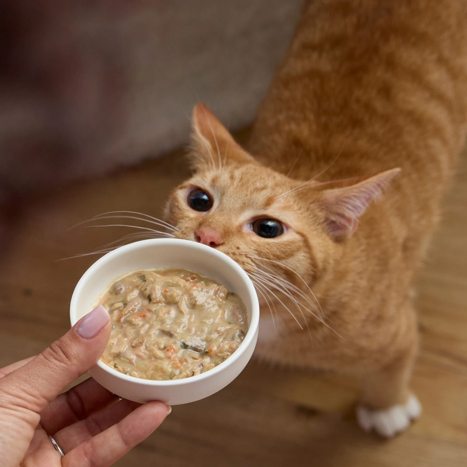 Tiny Tiger Lickables Soup Tuna Recipe In A Creamy Chicken Broth Cat Treat & Topper 8 Tiny Tiger Lickables Soup Tuna Recipe In A Creamy Chicken Broth Cat Treat & Topper - Image 6
