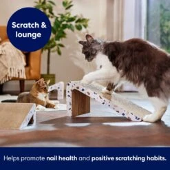 Frisco Nesting Cat Scratcher Toy With Catnip, Modern Terrazzo -Almo nature Sales 347213 PT3. AC SS1800 V1659699272