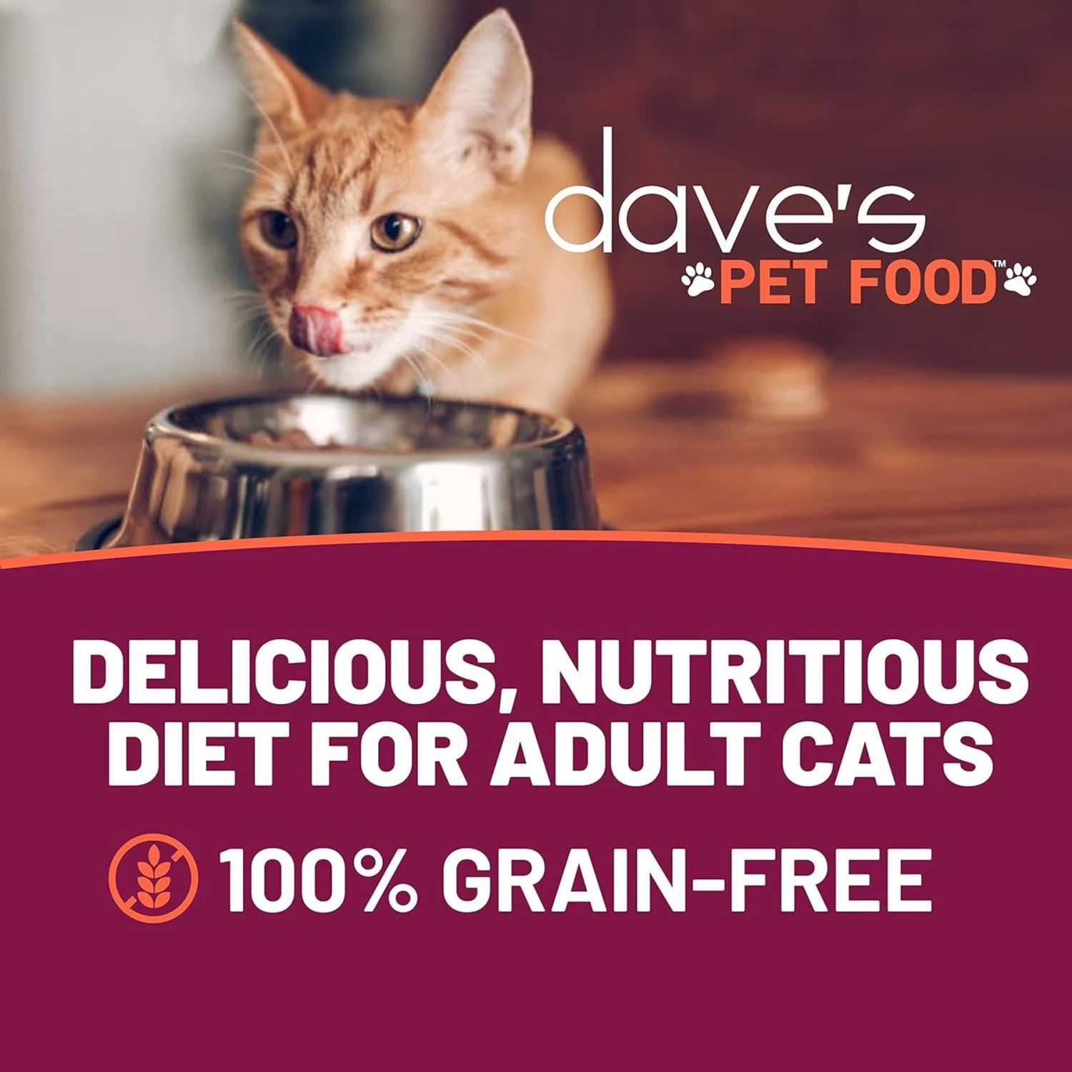 Dave's Pet Food Minced Chicken Dinner In Gravy Recipe Wet Cat Food, 2.8-oz Can, Case Of 24 4 Dave's Pet Food Minced Chicken Dinner In Gravy Recipe Wet Cat Food, 2.8-oz Can, Case Of 24 - Image 2
