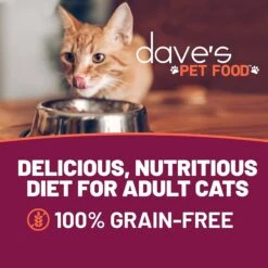 Dave's Pet Food Shredded Chicken & Tuna Dinner In Gravy Recipe Wet Cat Food, 2.8-oz Can, Case Of 24 -Almo nature Sales 352437 PT1. AC SS1800 V1640271706
