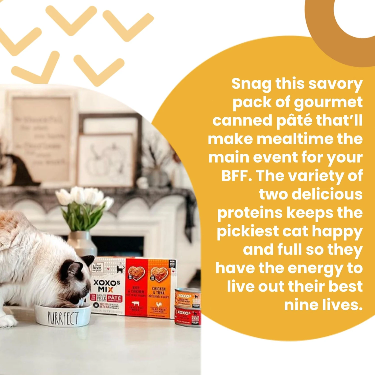 I And Love And You XOXO Beef & Chicken Pate Grain-Free Canned Cat Food, 3-oz Can, Case Of 24 5 I And Love And You XOXO Beef & Chicken Pate Grain-Free Canned Cat Food, 3-oz Can, Case Of 24 - Image 3