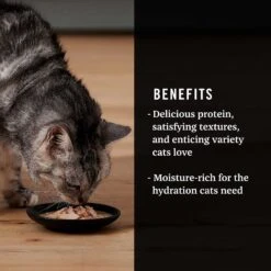 Fancy Feast Classic Seafood Feast Variety Pack Canned Cat Food & American Journey Landmark Broths Seafood Variety Pack Wet Cat Food Complement Pouches -Almo nature Sales 353371 PT8. AC SS1800 V1639527992