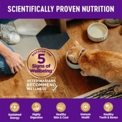Wellness Complete Health Natural Grain-Free Deboned Chicken & Chicken Meal Dry Kitten Food & Wellness Complete Health Kitten Variety Pack Grain-Free Canned Cat Food, 3-oz, Case Of 12 -Almo nature Sales 353443 PT4. AC SS1800 V1639528345