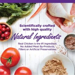 Wellness Complete Health Natural Grain-Free Deboned Chicken & Chicken Meal Dry Kitten Food & Wellness Complete Health Kitten Variety Pack Grain-Free Canned Cat Food, 3-oz, Case Of 12 -Almo nature Sales 353443 PT6. AC SS1800 V1639543894