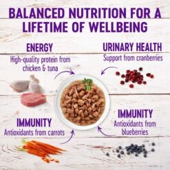 Wellness Healthy Indulgence Gravies Grain-Free Variety Pack Cat Food Pouches & Wellness Kittles Natural Grain-Free Salmon & Cranberries Crunchy Cat Treats -Almo nature Sales 353444 PT4. AC SS1800 V1639524409