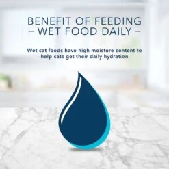 Blue Buffalo Tastefuls Spoonless Singles Salmon Entrée Pate Adult Cat Food, 2.6-oz Cup, Case Of 24 17 Blue Buffalo Tastefuls Spoonless Singles Salmon Entrée Pate Adult Cat Food, 2.6-oz Cup, Case Of 24 -Almo nature Sales 354413 PT8. AC SS1800 V1642009003